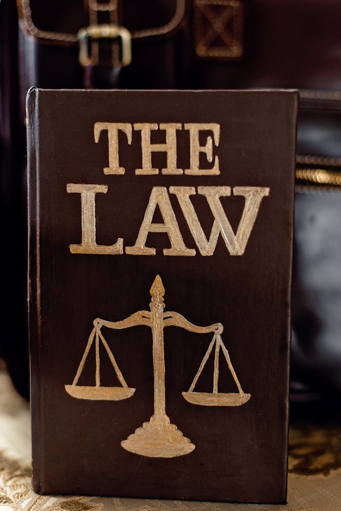 Mastering the First Impression: Your intriguing post title goes here Detailed image of a book titled 'The Law' featuring scales of justice.